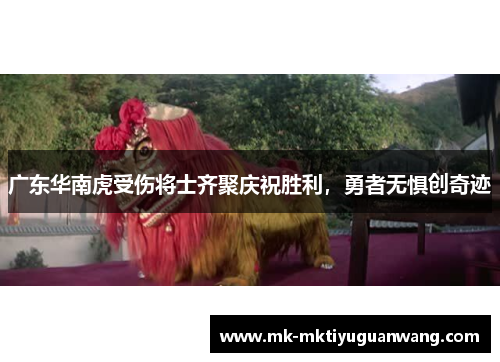 广东华南虎受伤将士齐聚庆祝胜利，勇者无惧创奇迹